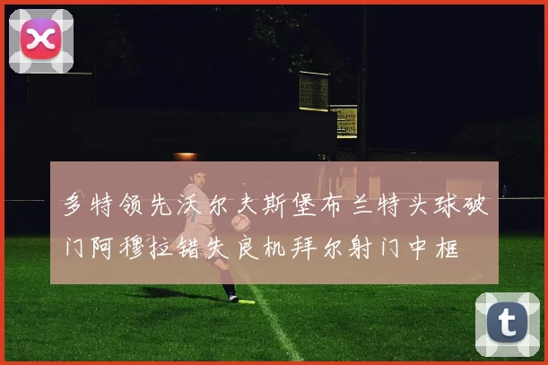 多特领先沃尔夫斯堡布兰特头球破门阿穆拉错失良机拜尔射门中框